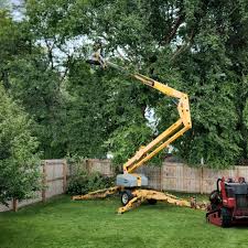Best Stump Grinding and Removal  in Cedar Heights, MD